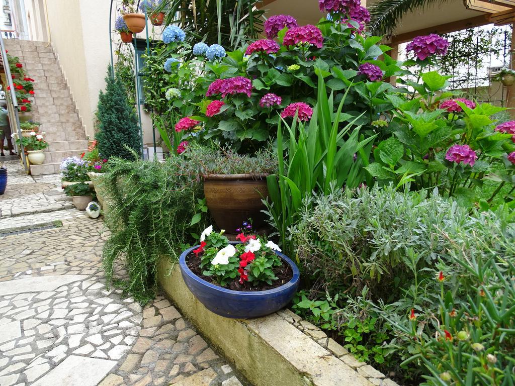 Apartament - Lisa Budva Exteriér fotografie